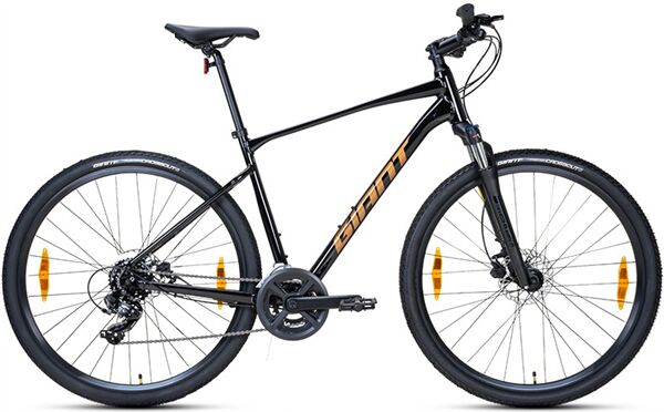Xe đạp touring Giant Roam 4 2025